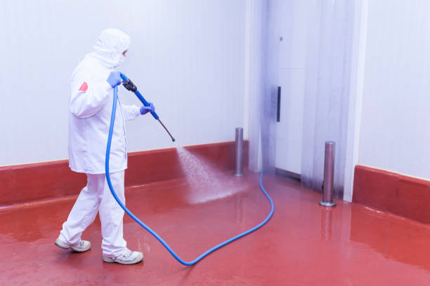 Best Roof Washing  in Cottage Grove, WI